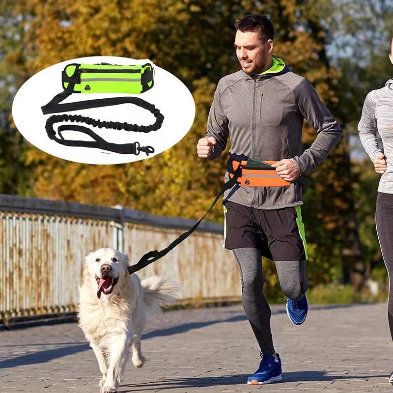 Joustava koiran juoksu hihna, kädet vapaa malli / Hands Free Dog Leash for Running Walking Reflective Leash