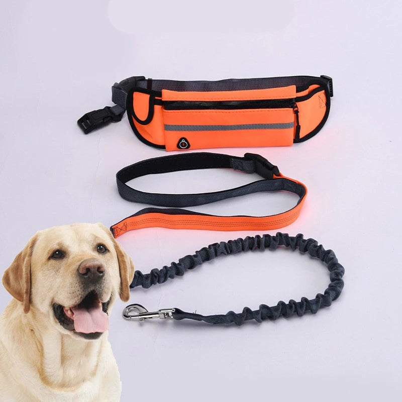 Joustava koiran juoksu hihna, kädet vapaa malli / Hands Free Dog Leash for Running Walking Reflective Leash