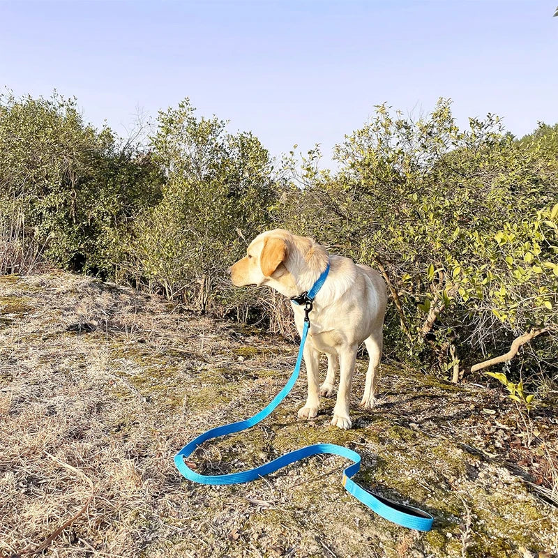 Hihna, pehmustetulla kahvalla / Dog Leash Polyamide Rope With Soft Padded Handle Durable Dog Training Lead Metal Swivel