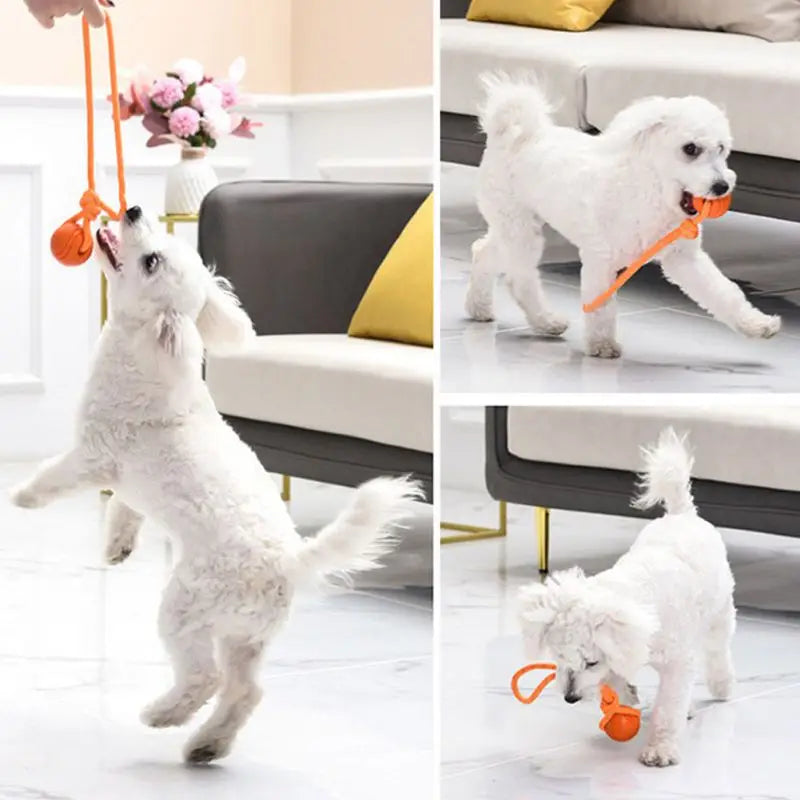 Naru pallo, Bouncy Rubber Ball
