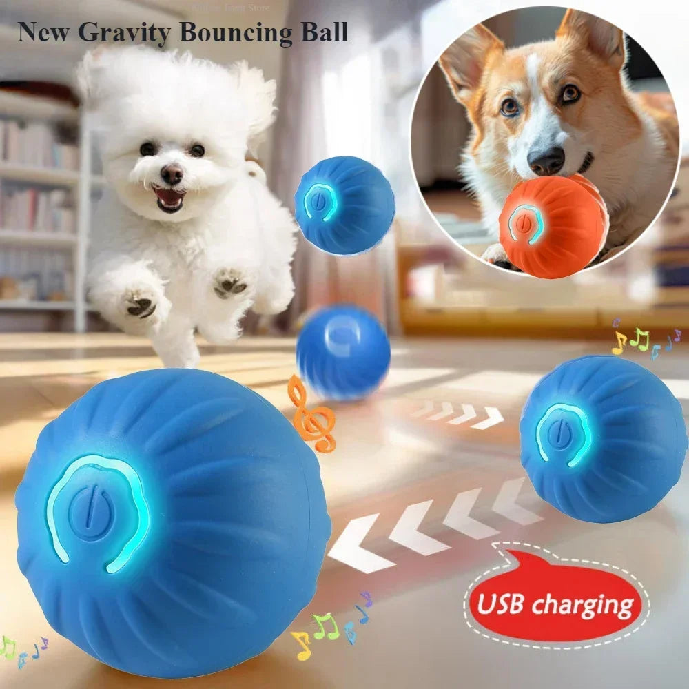 Itsestään pomppiva pallo, Automatic dog bouncing ball
