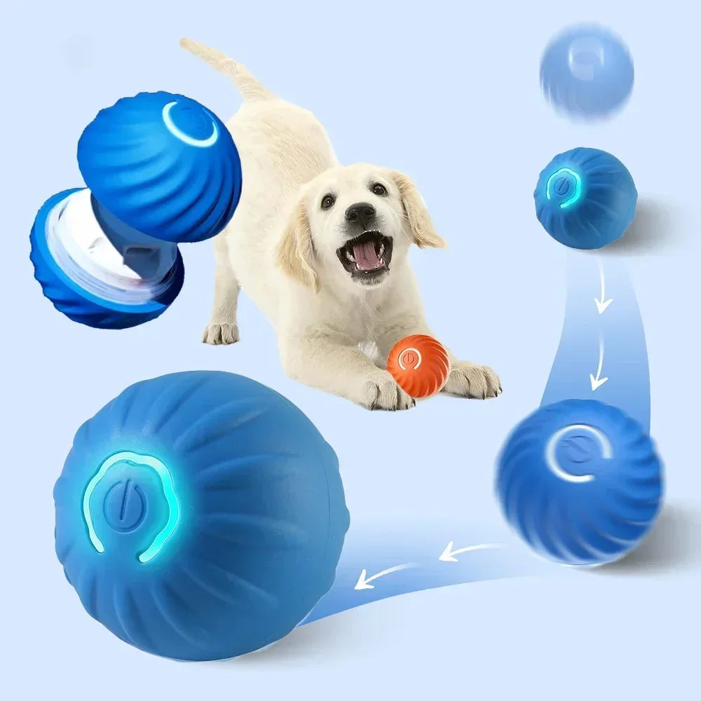 Itsestään pomppiva pallo, Automatic dog bouncing ball