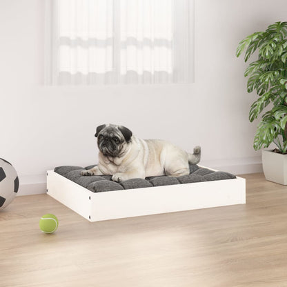 Dog bed white 61.5x49x9 cm solid pine