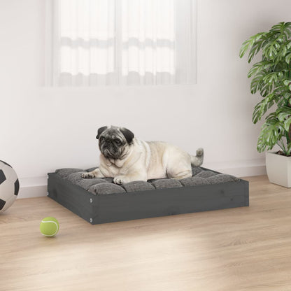 Dog bed gray 61.5x49x9 cm solid pine