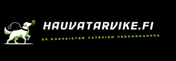 Hauvatarvike 