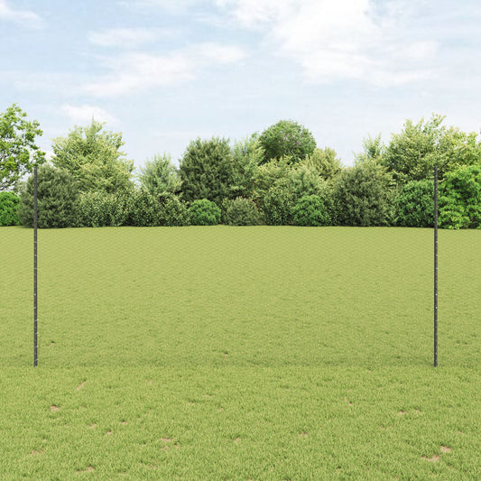 Verkkopostit 22 kpl U-kanava Harmaa 160 cm Teräs, vidaXL Kuusikulmainen verkko Harmaa 1.6x100 m Teräs