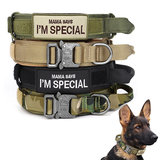 Taktinen vahva koiranpanta, kahvalla, useita eri värejä / Tactical Dog Collar Nylon Duarable Military Dog Collars For Medium Large Dogs German Shepard Training  Walking Pet Accessories