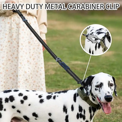 Heijastava, jykevä koiranhihna, eri värejä / Reflective Shock Absorbing Pet Leashes with Car Seatbelt for Large Dogs Heavy Duty Tactical Bungee Dog Leash No Pull Dog Leash