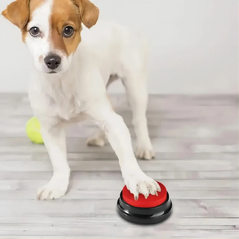 Koiran puheopetus nappulat / Dog Toys speaking buttons