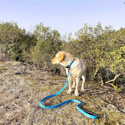 Hihna, pehmustetulla kahvalla / Dog Leash Polyamide Rope With Soft Padded Handle Durable Dog Training Lead Metal Swivel
