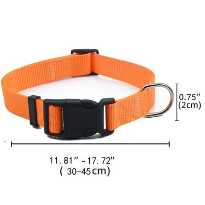 Airtag paikannus panta, koiranpanta, vedenpitävä, erivärejä / Upgraded AirTag Dog Collar, IP68 Waterproof Air Tag Holder, Reflective, Ultra-Durable, Comfortable for Small Medium Large Pet