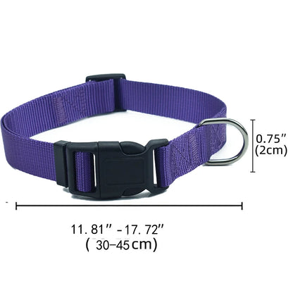 Airtag paikannus panta, koiranpanta, vedenpitävä, erivärejä / Upgraded AirTag Dog Collar, IP68 Waterproof Air Tag Holder, Reflective, Ultra-Durable, Comfortable for Small Medium Large Pet