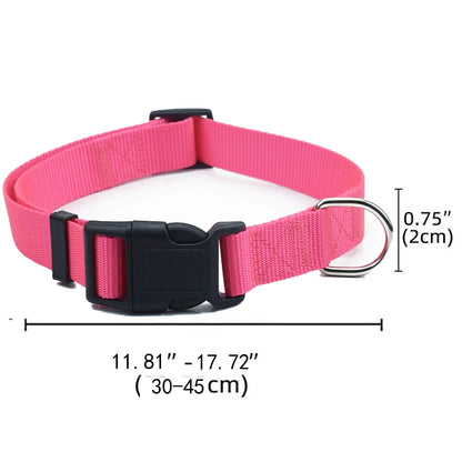 Airtag paikannus panta, koiranpanta, vedenpitävä, erivärejä / Upgraded AirTag Dog Collar, IP68 Waterproof Air Tag Holder, Reflective, Ultra-Durable, Comfortable for Small Medium Large Pet