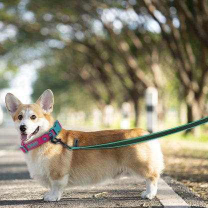 Pitkät hihnat, jäljestys hihna, metsästys hihna 1.5M 3M 15M Long Dog Leash
