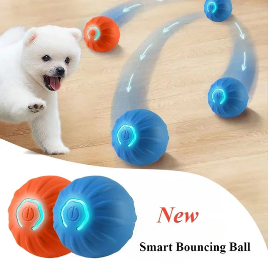 Itsestään pomppiva pallo, Automatic dog bouncing ball