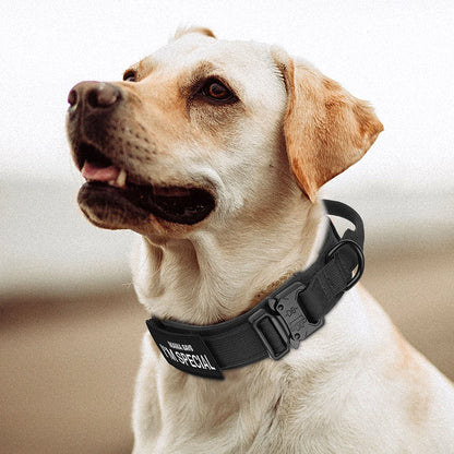 Taktinen vahva koiranpanta, kahvalla, useita eri värejä / Tactical Dog Collar Nylon Duarable Military Dog Collars For Medium Large Dogs German Shepard Training  Walking Pet Accessories