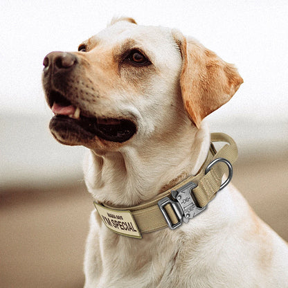 Taktinen vahva koiranpanta, kahvalla, useita eri värejä / Tactical Dog Collar Nylon Duarable Military Dog Collars For Medium Large Dogs German Shepard Training  Walking Pet Accessories